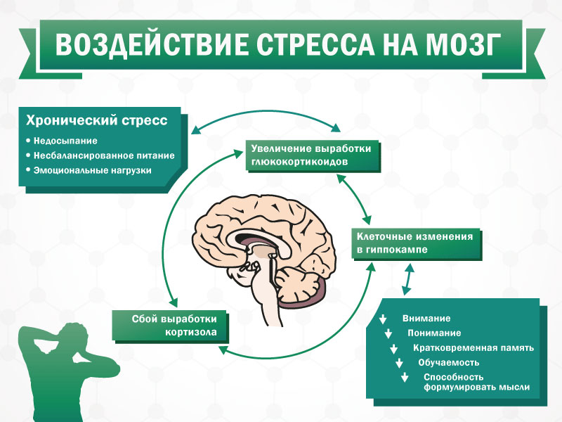Умный, злой или глупый: как вычислить, кто перед вами