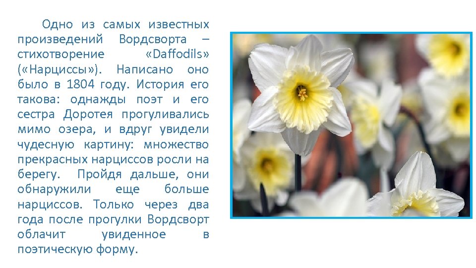 Что чувствует нарцисс, когда его игнорируют, бросают, перестает любить жертва