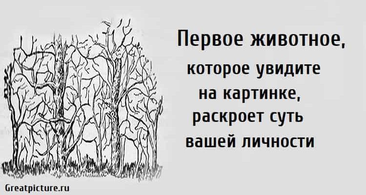 Первое животное, которое увидите на картинке, раскроет суть вашей личности