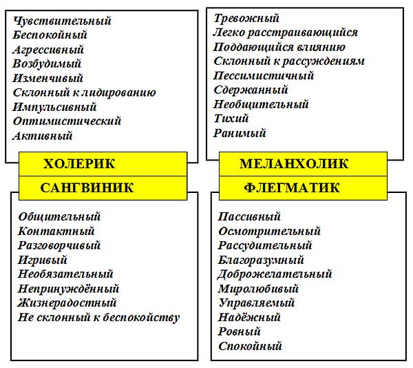 Проект психотип человека влияние психотипа на процесс обучения