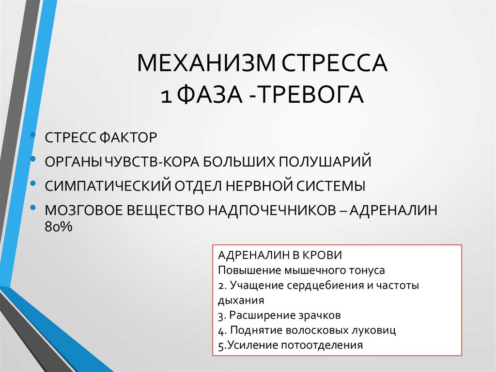 Как лечить неврастению