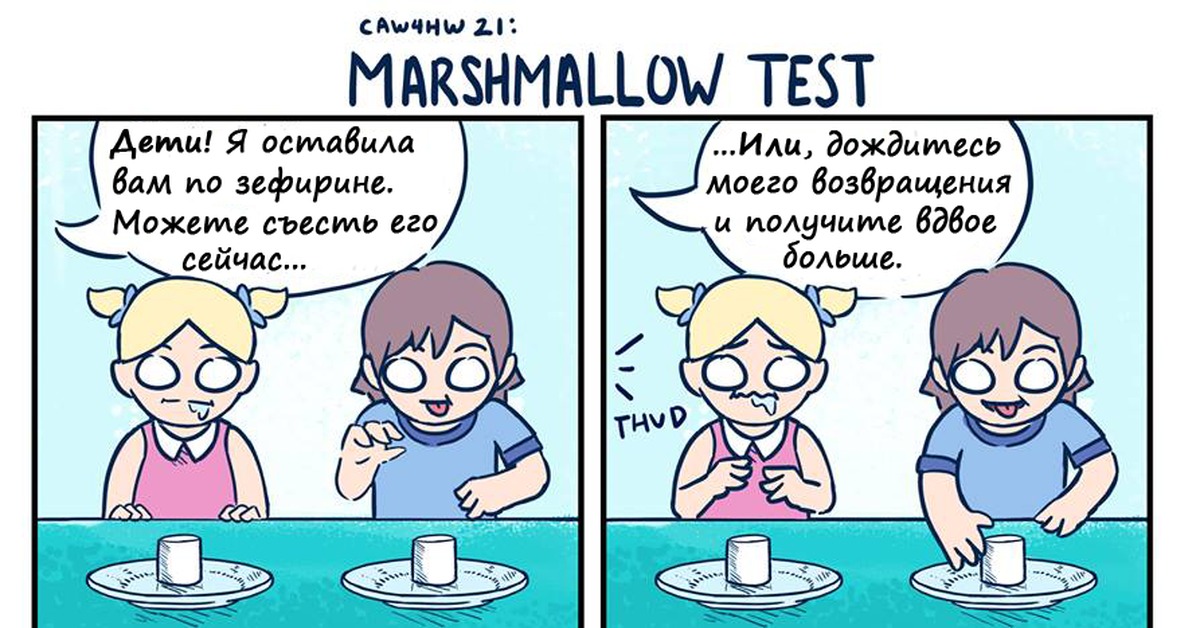 "зефирный тест" для взрослых.