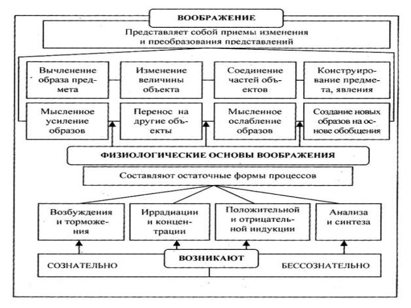 Физиологические основы воображения презентация