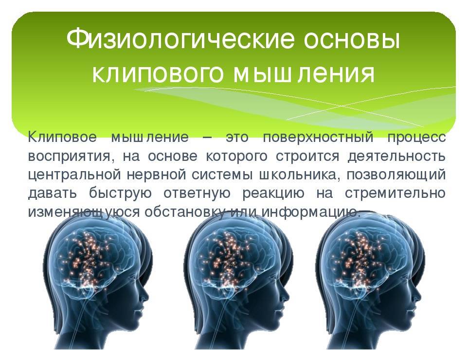 Клиповое мышление. Поверхностное мышление. Физиологические основы мышления. Последствия клипового мышления.