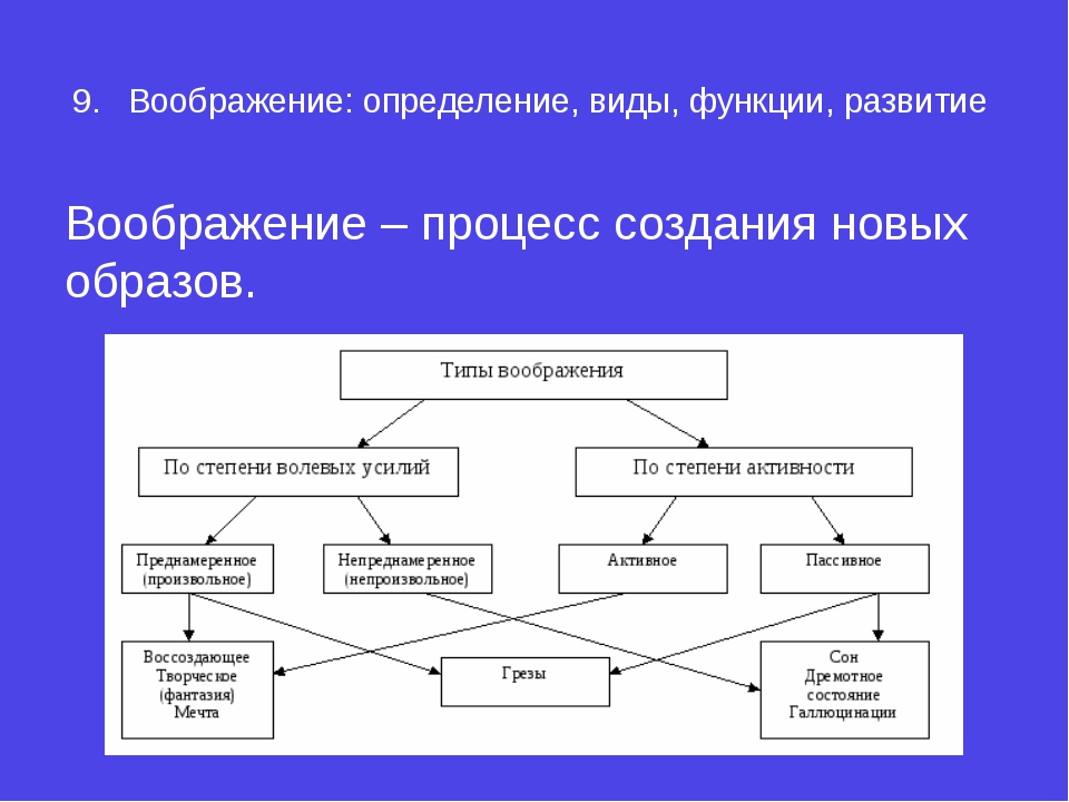 Виды воображения картинки