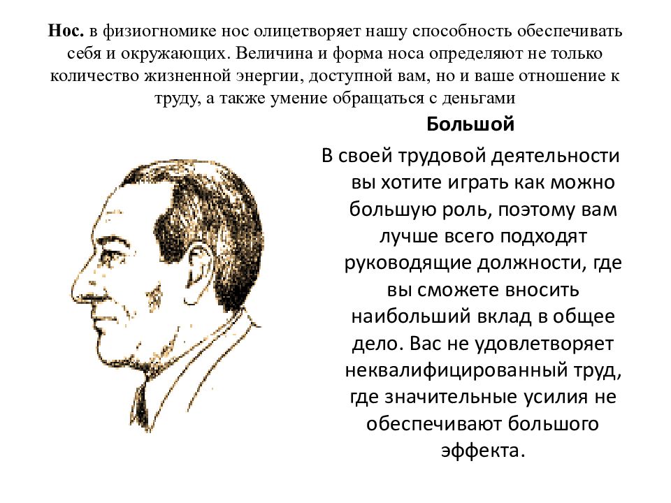 Физиогномика лица и характер схемы и описание изучение бесплатно