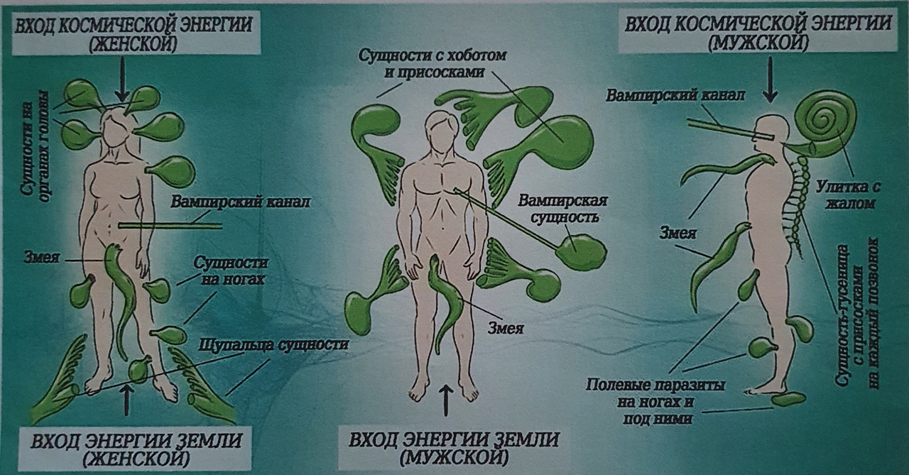 Где сущность. Энергетические паразиты. Лярвы энергетические паразиты.