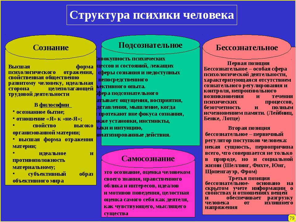 Какое из определений наиболее характерно для современной естественнонаучной картины мира