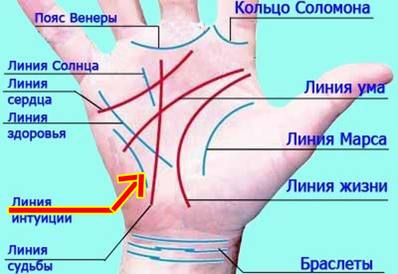 Хиромантия в картинках