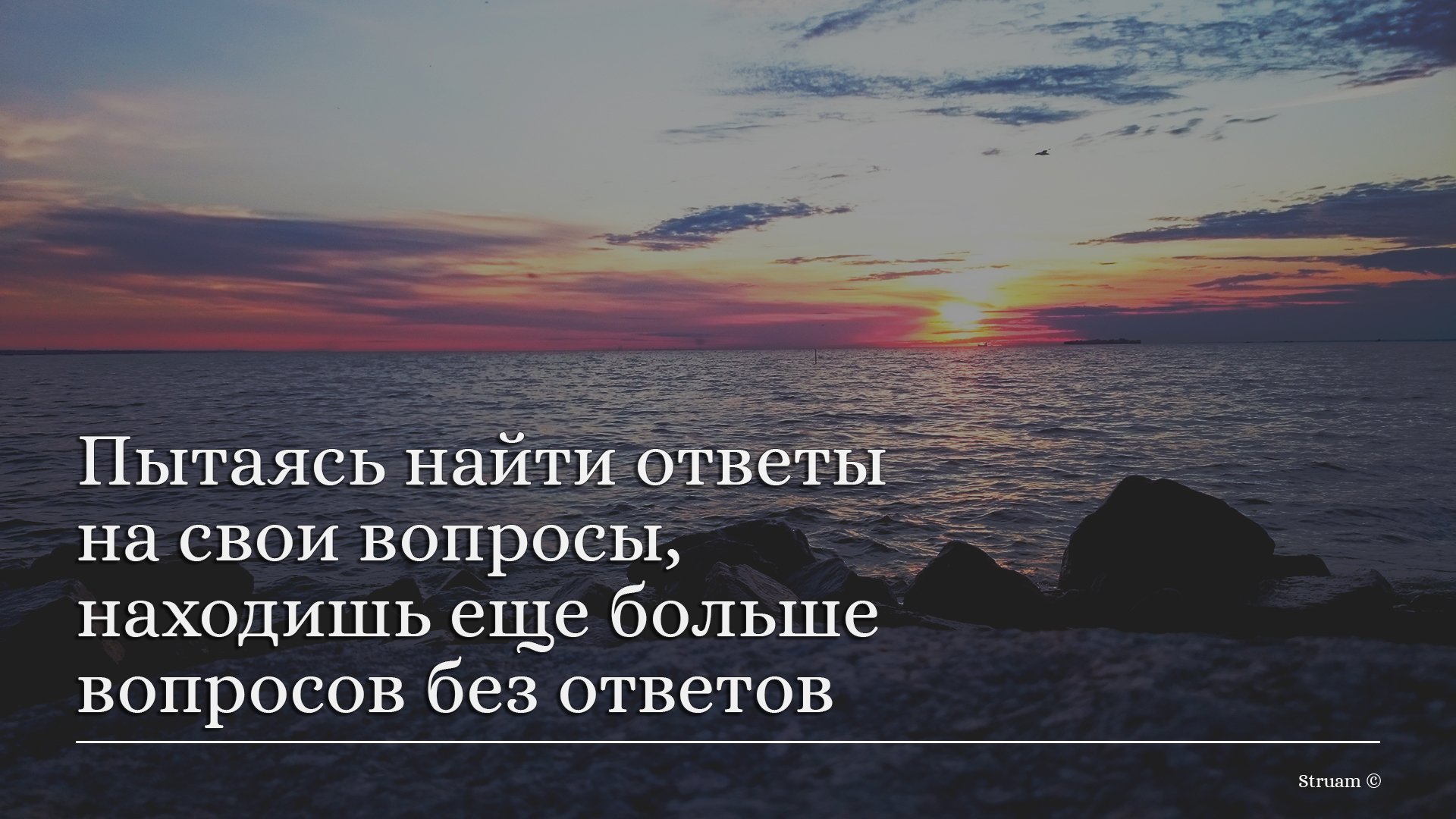 Тёмная тема: полезнее ли она для глаз на самом деле