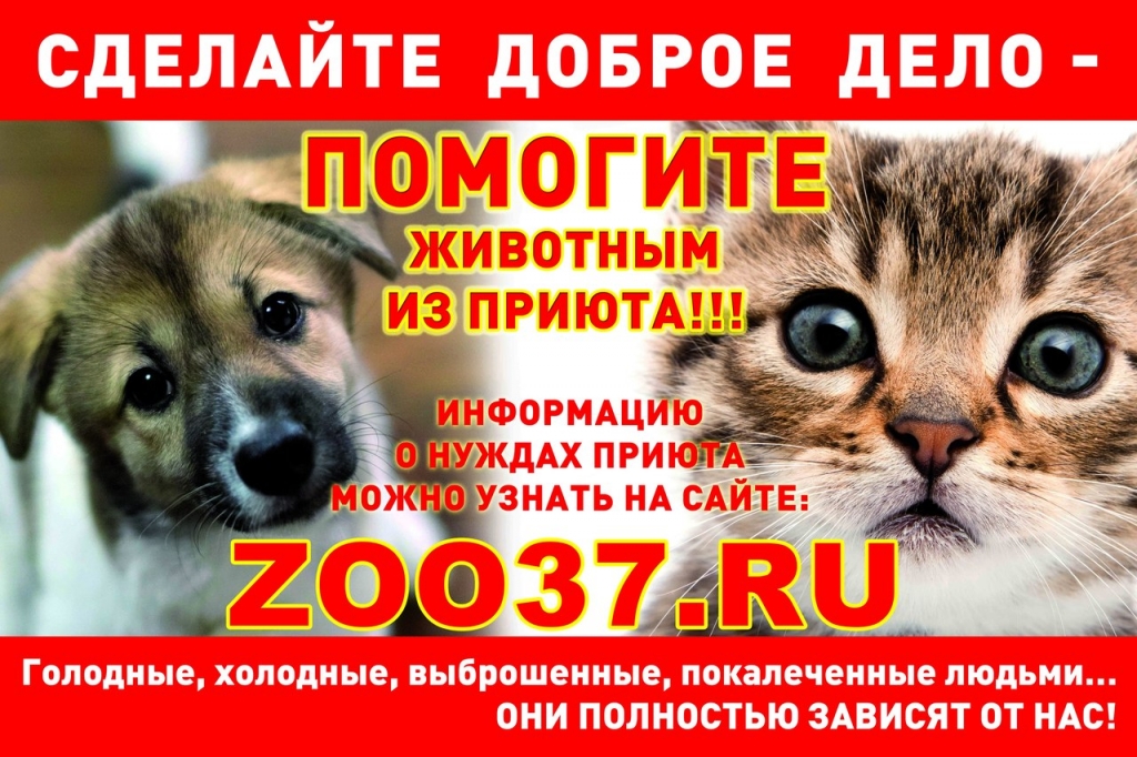 Неустойчивость: эмоциональная, нервная, психическая.