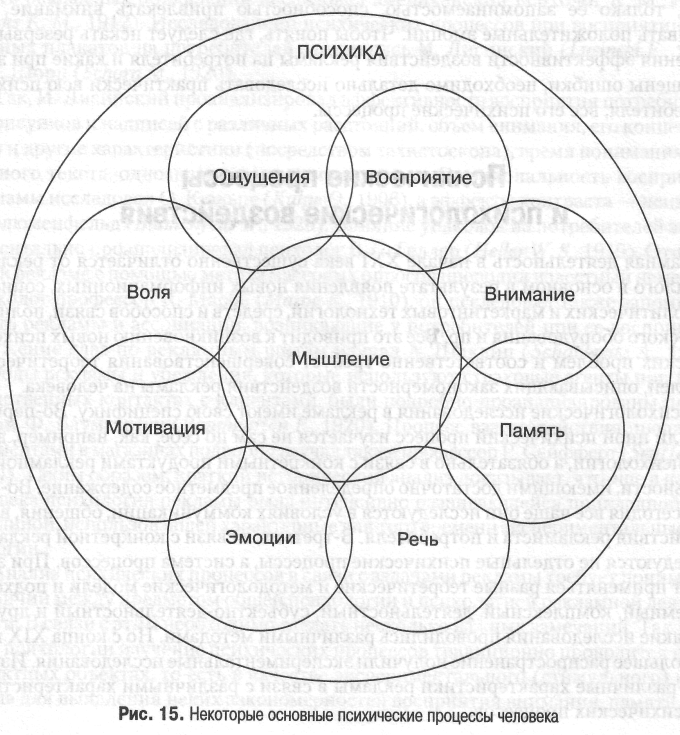 Процессы психики человека