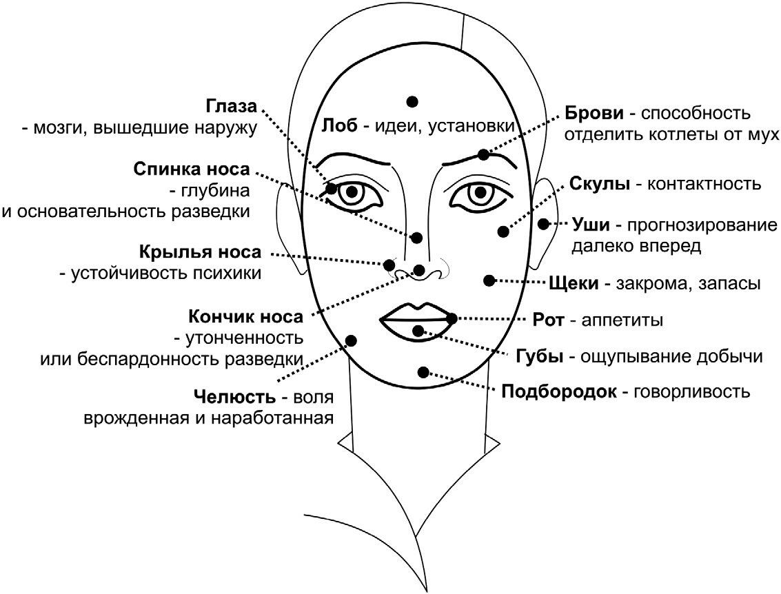 Сочинение на тему: описание внешности человека - пример текста