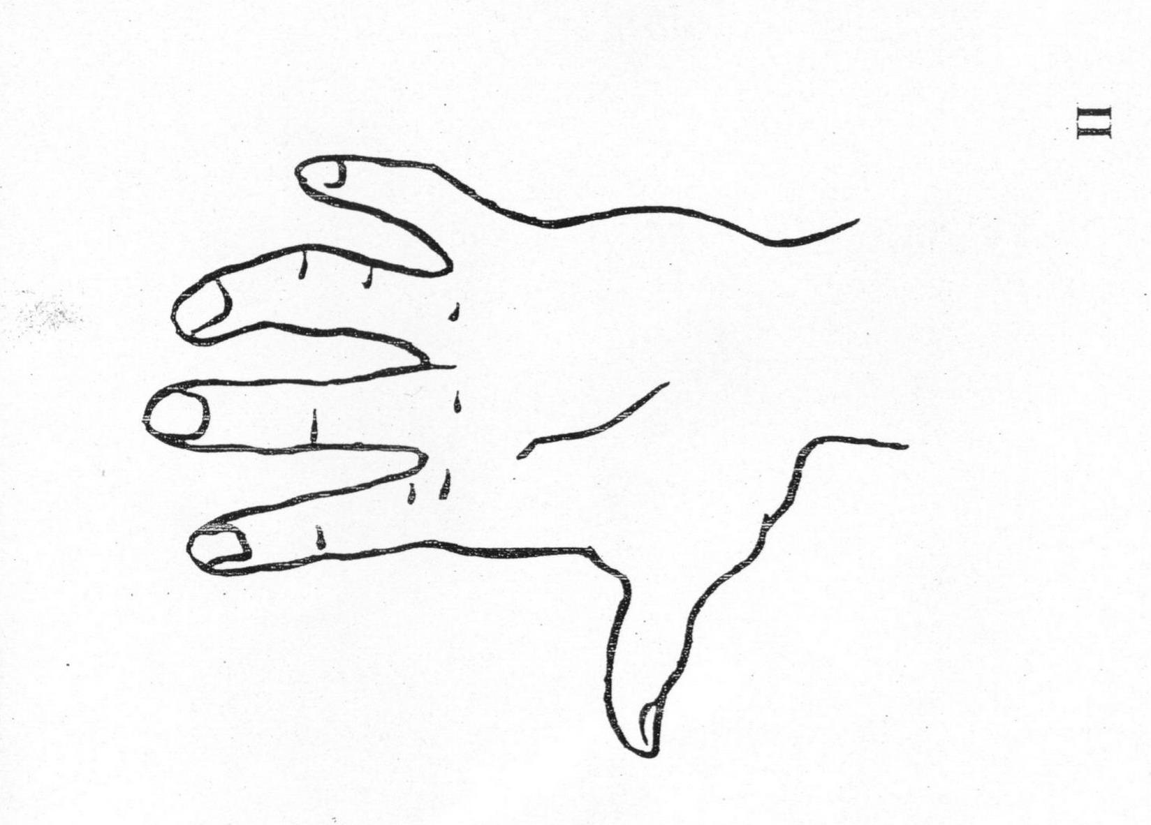 Тест руки Вагнера Hand test Проективная методика Диагностика агрессивности Инструкция, стимульный материал 10 карточек руки, ключ, формула подсчета, интерпретация, источник