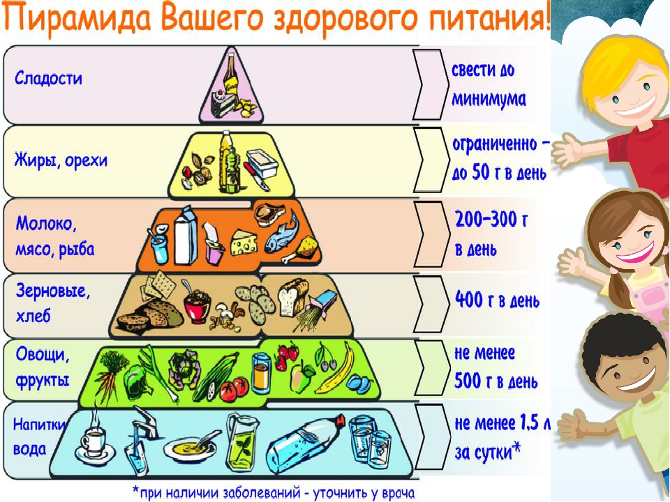 Режим дня рациональное питание блок схема