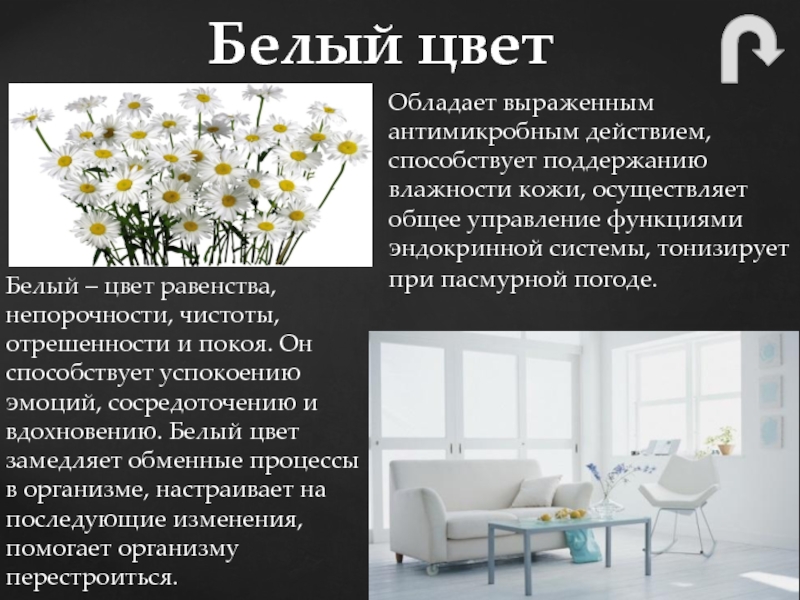 Как влиять на окружающих с помощью цвета своего наряда