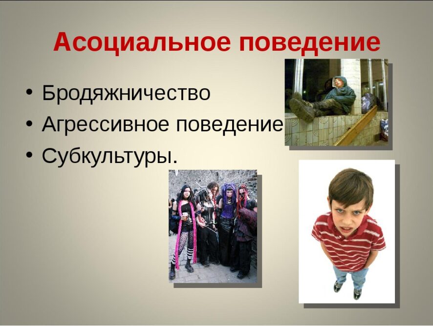 Классификация видов поведения людей