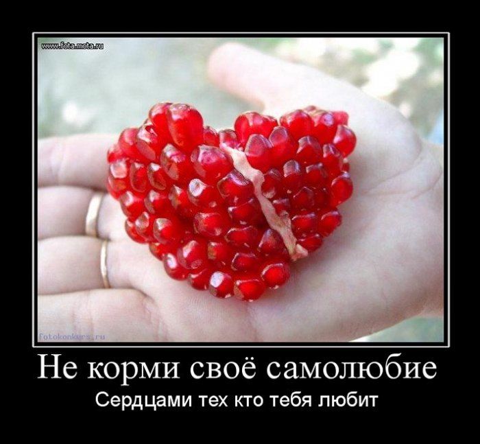 Как подлечить больное самолюбие? | психология