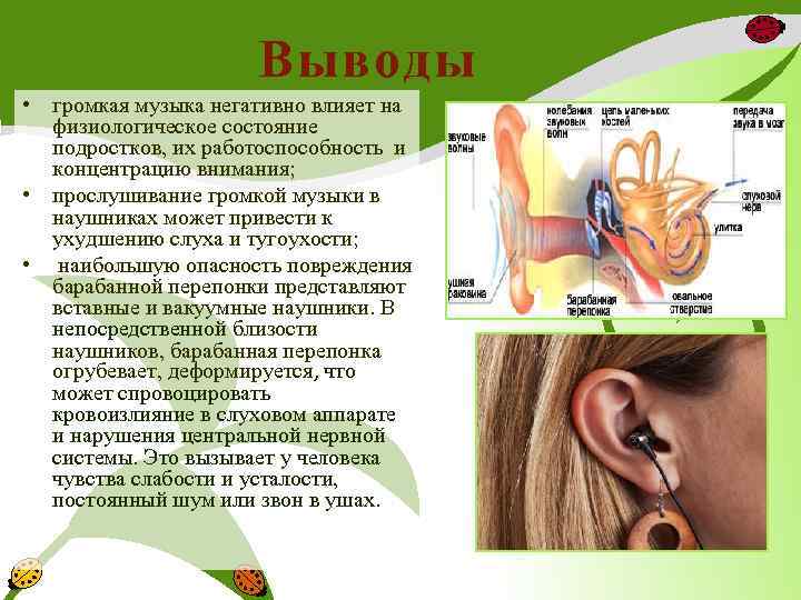 Влияние наушников на слух человека проект по биологии