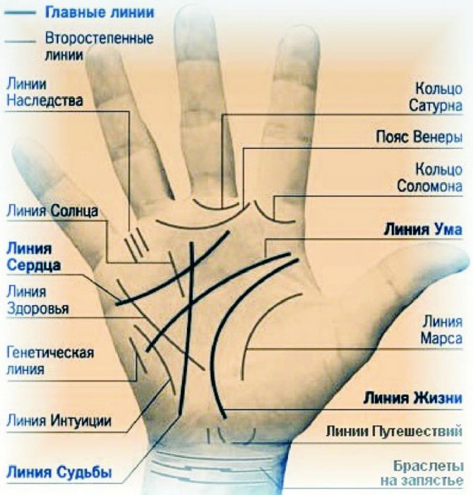 Хиромантия рисунки на руке и их значение