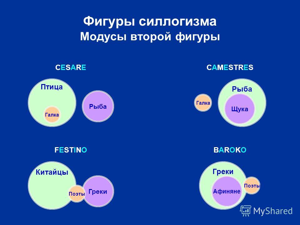 Структура силлогизма. Модусы второй фигуры. Модус второй фигуры силлогизма.