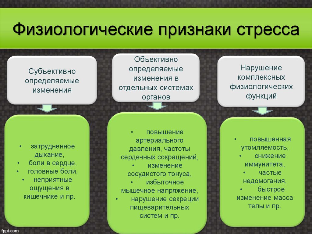 Как стресс и негативные эмоции влияют на развитие сосудистых заболеваний