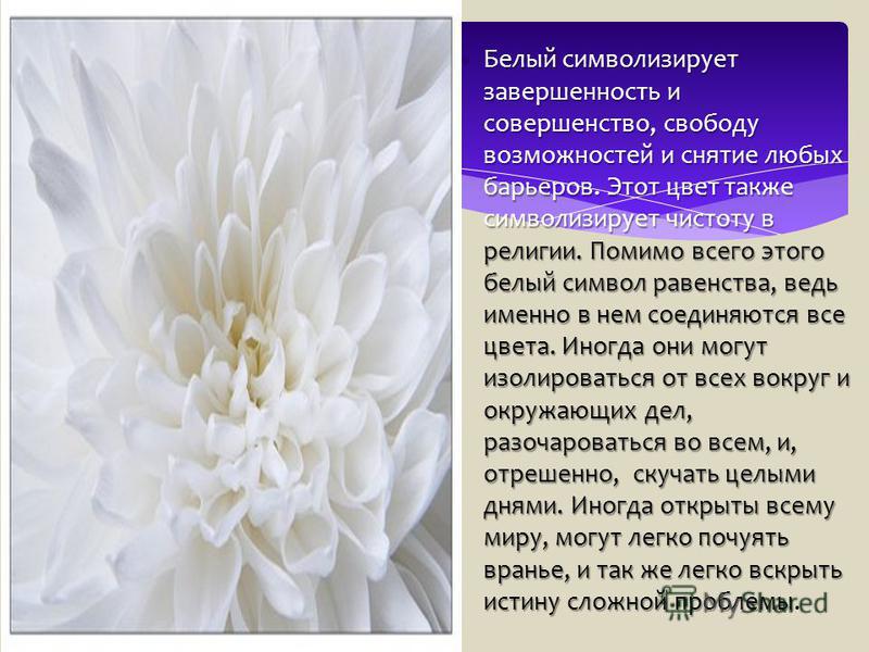 Белому нравится. Белый цвет цветов символизирует. Белый цвет в психологии. Белый цвет символизирует чистоту. Психология белого цвета для человека.