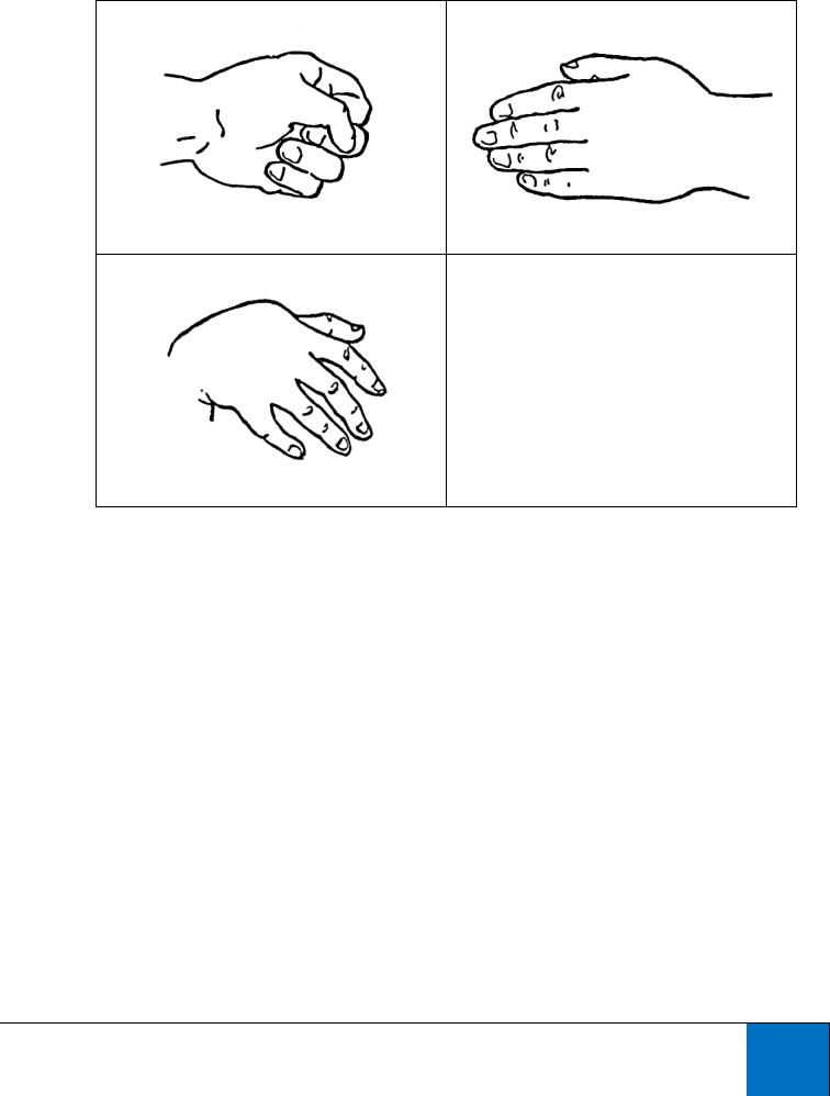 Презентация на тему тест руки вагнера
( hand test )
выполнили:
студенты группы 5603
дынер а.с.,