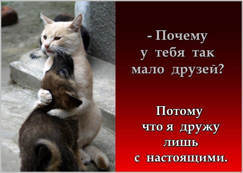 Как разрешать конфликты: факторы, стратегии и приемы для разных ситуаций