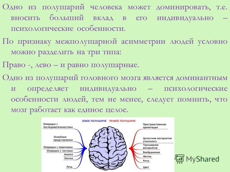 Правая гемисфера мозга. Функциональная асимметрия правого и левого полушария мозга. Функции левого полушария головного мозга. Функции правого полушария головного мозга. Функциональная асимметрия полушарий у человека.