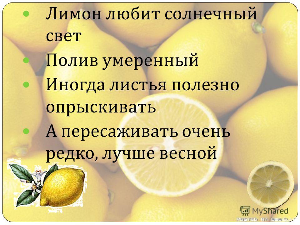 Загадка про лимон