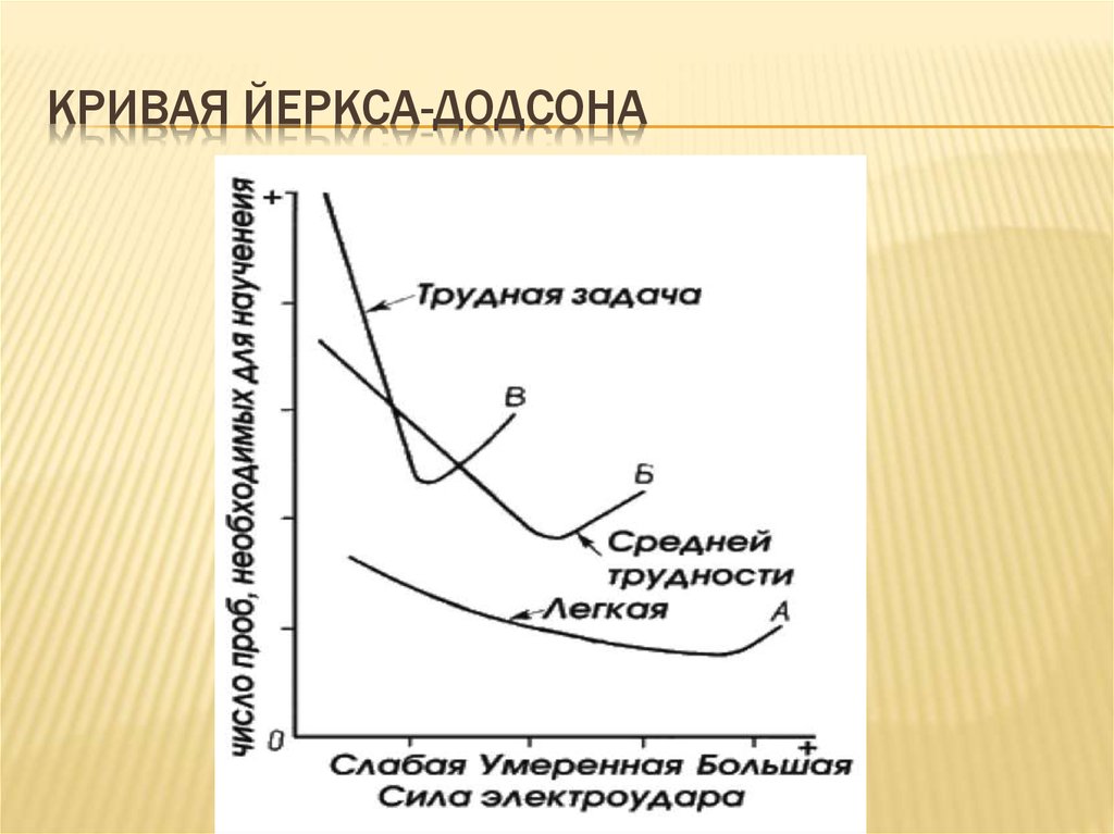 Закон йеркса-додсона о правильной мотивации