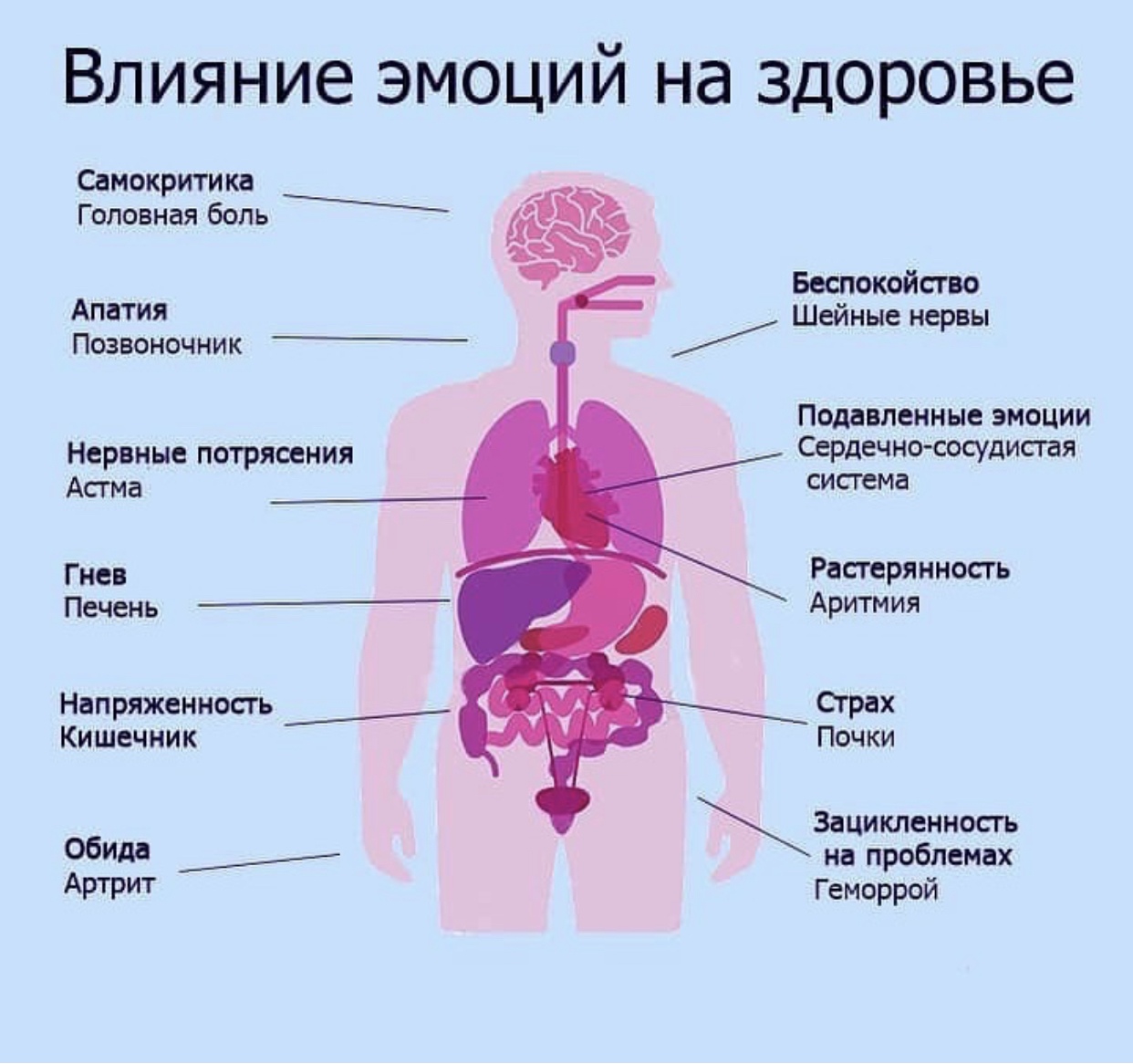 Магическая комната на висячем мосту. как эмоции влияют на наше мышление