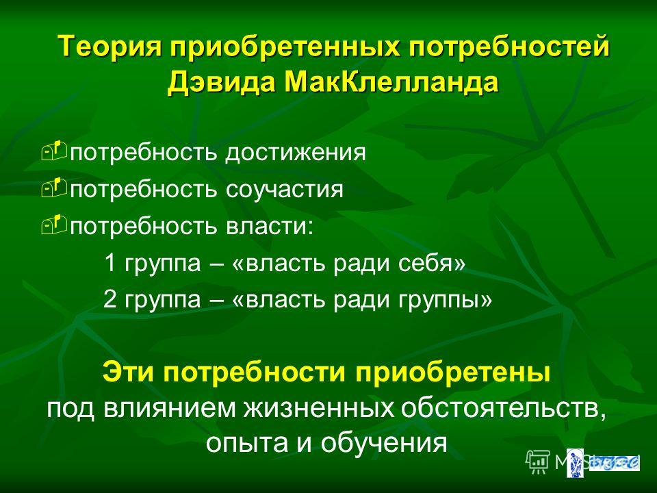 Мак клелланд потребности