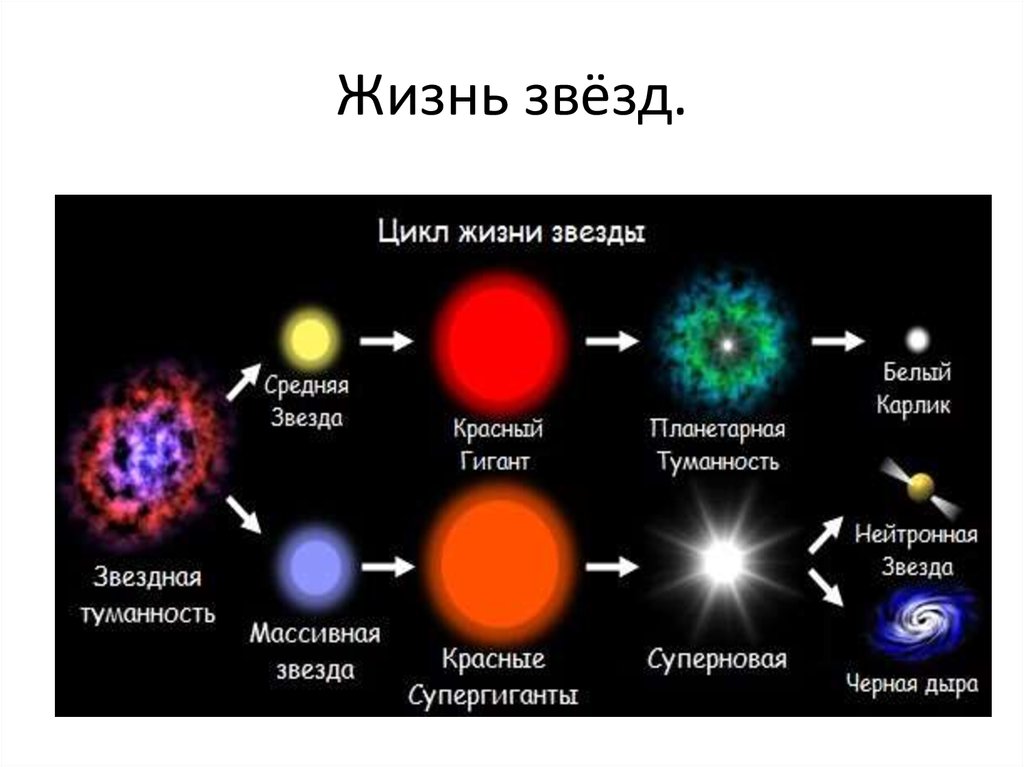 На рисунке представлены этапы жизненного цикла звезд средней массы типа солнца и массивных звезд