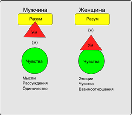 Интеллект мужчин и женщин. Ум и разум различия. Разум и ум в чем отличие. Различия мужчин и женщин. Эмоциональные различия мужчин и женщин.