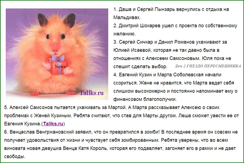 Народные приметы про птиц в разных ситуациях