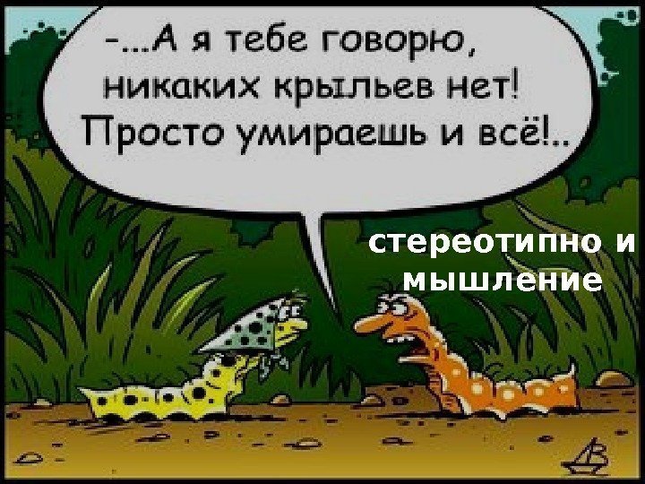 Инстинкты человека и какие они бывают