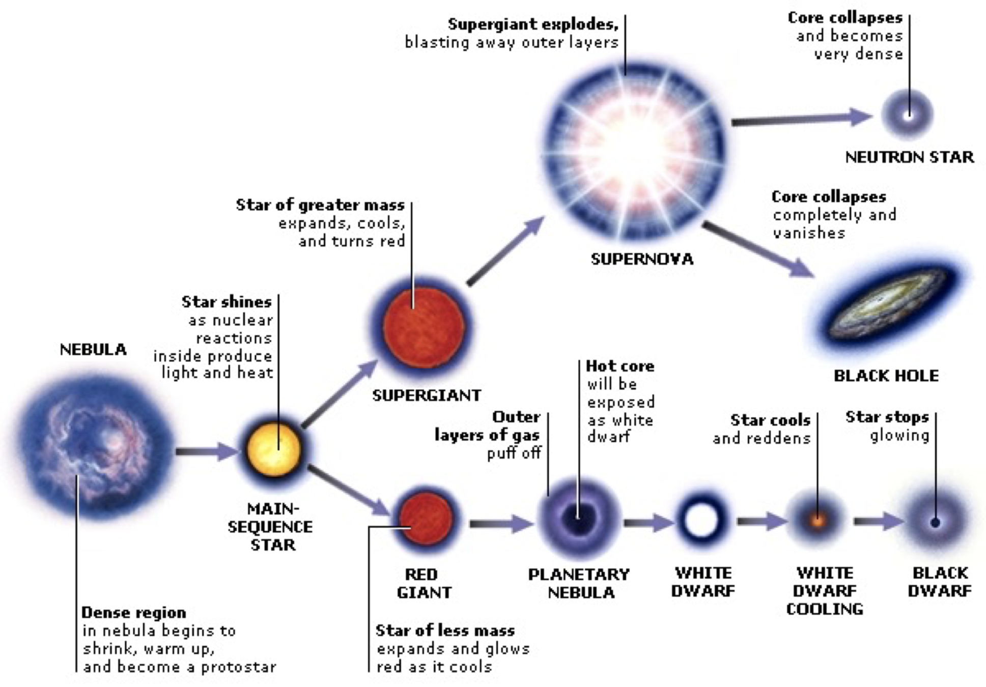 Star life 1. Жизненный цикл звезды. Этапы жизни звезды. Этапы жизненного цикла звезды. Схема эволюции звезд.