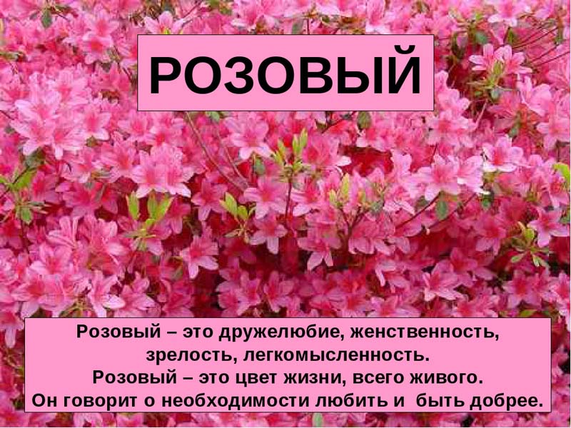 Значение розового цвета в психологии женщин, мужчин и детей, кому он нравится
