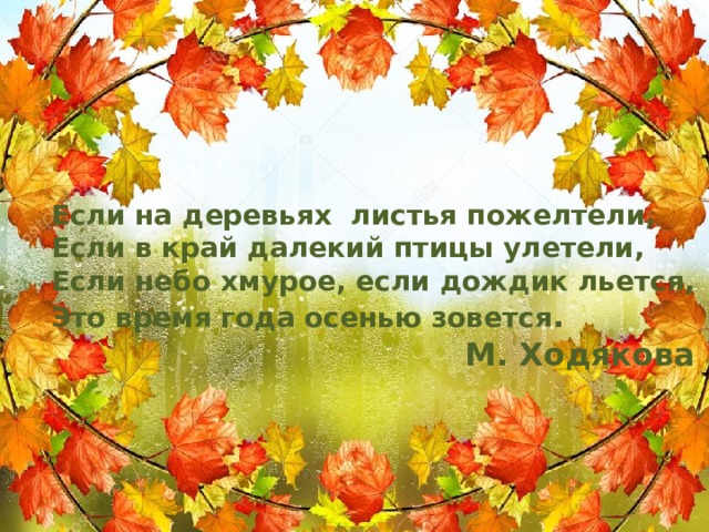 Церковь и астрология: как относятся друг к другу | правмир