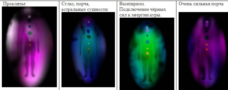 Основные источники энергии в организме — блог mygenetics