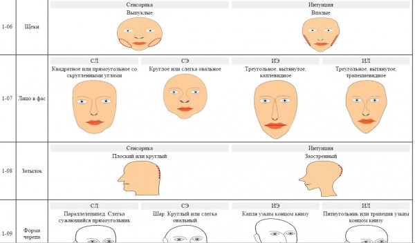 Определить психотип человека по фото