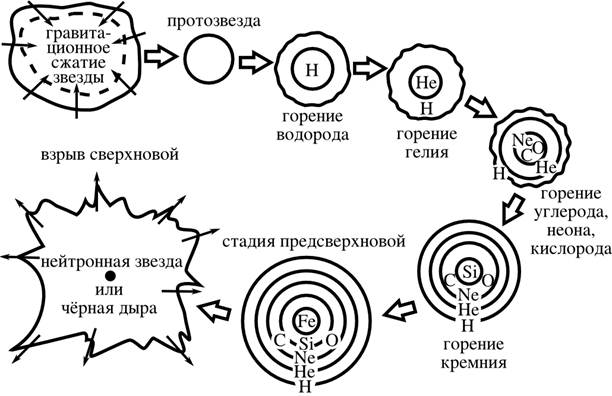 Жизненный цикл звезды схема