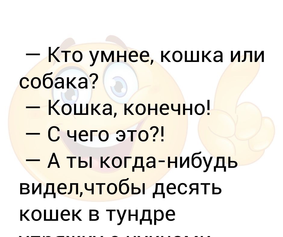 Кто умнее — кошки или собаки? - hi-news.ru