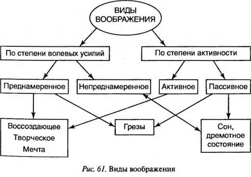 Виды воображения картинки