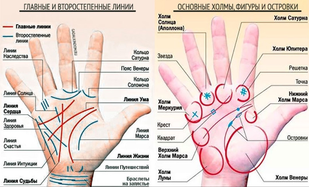 Хиромантия по фото ладони