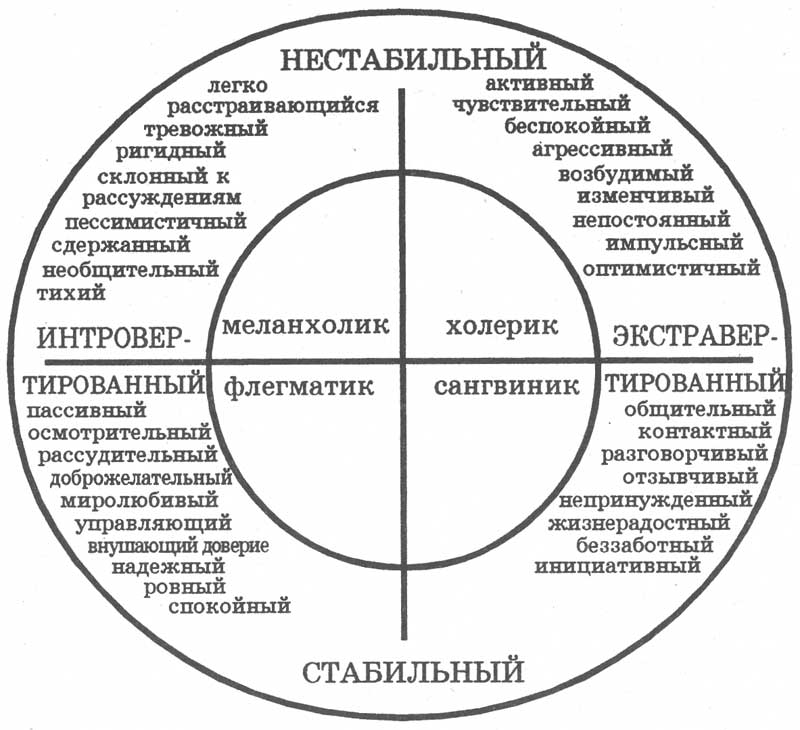 Тип темперамента – станислав.ру