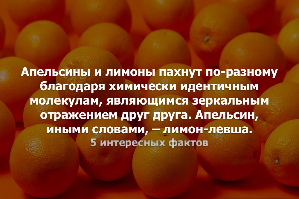 У всех на слуху: 30 известных каждому фраз, о происхождении которых знают лишь единицы