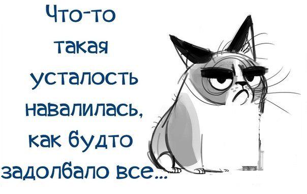 Как все надоело картинки с надписями прикольные